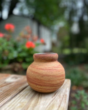Load image into Gallery viewer, Wild Clay Pot #4
