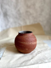 Load image into Gallery viewer, Wild Clay Pot #3
