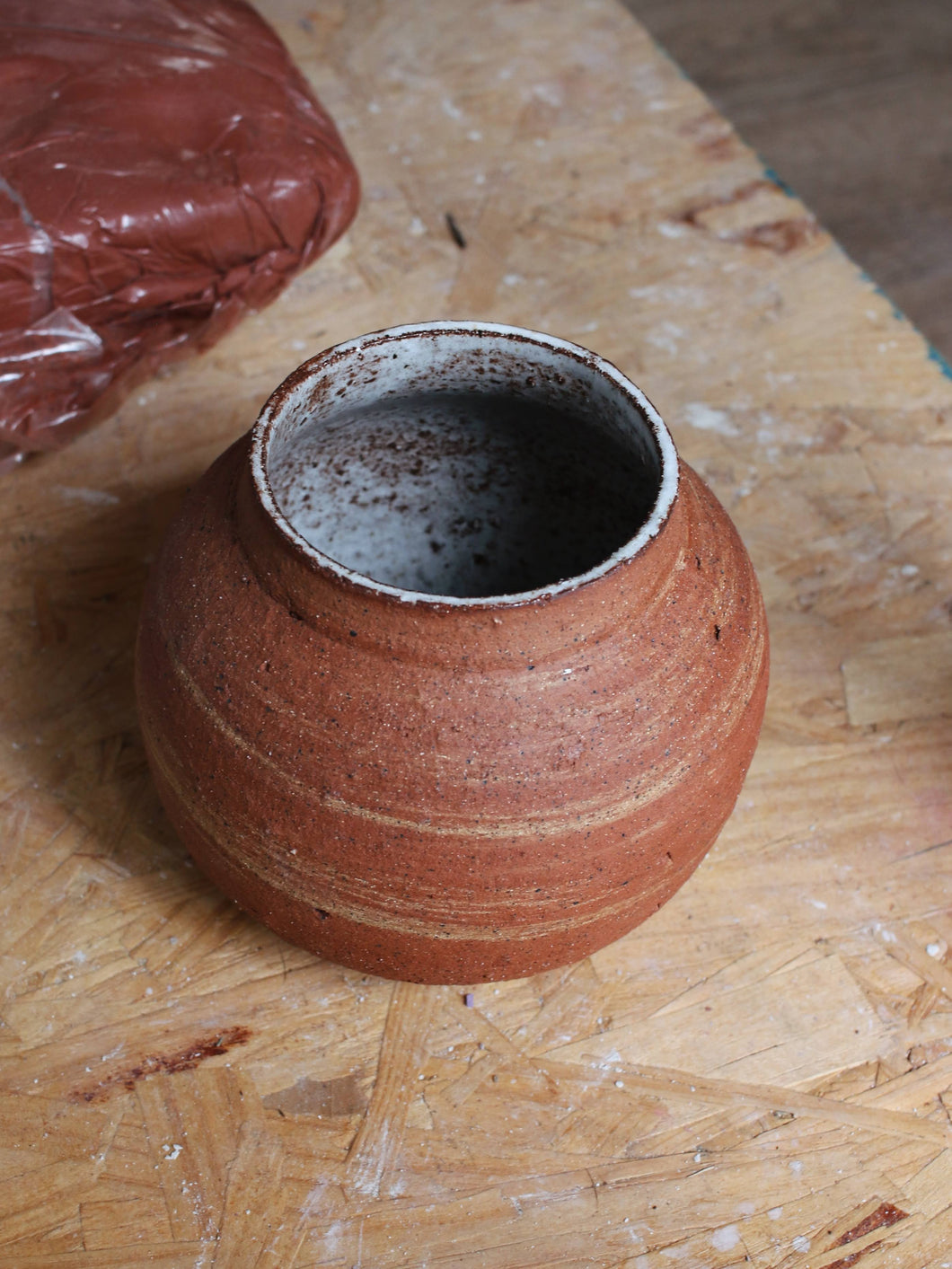 Wild Clay Pot #3
